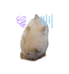 ハリネズミ物語 クウちゃん①（個別スタンプ：15）
