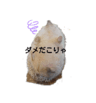 ハリネズミ物語 クウちゃん①（個別スタンプ：16）