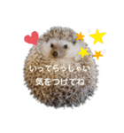 ハリネズミ物語 クウちゃん①（個別スタンプ：29）