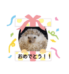 ハリネズミ物語 クウちゃん①（個別スタンプ：32）