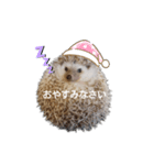 ハリネズミ物語 クウちゃん①（個別スタンプ：36）