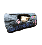 クレステッドゲッコーズ（個別スタンプ：3）