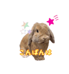 ダックン＆ゴロ兵衛  3（個別スタンプ：9）