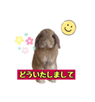 ダックン＆ゴロ兵衛  3（個別スタンプ：12）