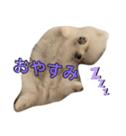はろー！わたスタンプ（個別スタンプ：6）