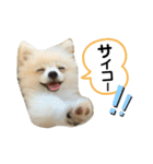 はろー！わたスタンプ（個別スタンプ：13）