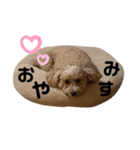 愛するフランスタンプ（個別スタンプ：3）
