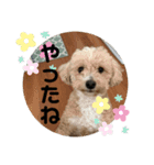 愛するフランスタンプ（個別スタンプ：6）