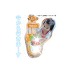 kohamocoスタンプ（個別スタンプ：16）