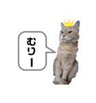 りんたんだお（個別スタンプ：15）