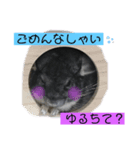 チンチラ☆日常モカ（個別スタンプ：8）