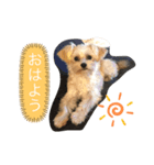 soupちゃん（個別スタンプ：5）