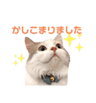 モカちゃんpart.3（個別スタンプ：2）