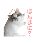 モカちゃんpart.3（個別スタンプ：16）