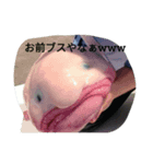毒舌魚1（個別スタンプ：7）