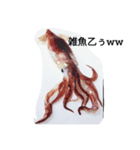 毒舌魚1（個別スタンプ：8）