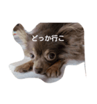 ちゃっこ。（個別スタンプ：4）