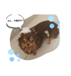 ちゃっこ。（個別スタンプ：6）