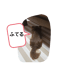 ちゃっこ。（個別スタンプ：7）