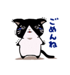 あずにゃんこ1（個別スタンプ：5）