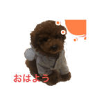 ぷぅくんスタンプ（個別スタンプ：8）