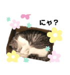 なるちゃん専用スタ（個別スタンプ：3）
