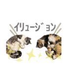 なるちゃん専用スタ（個別スタンプ：5）