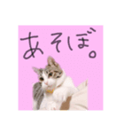 ちあーず2（個別スタンプ：2）