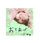 ちあーず2（個別スタンプ：4）