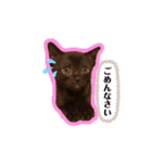 チョビくんのいる毎日☆（個別スタンプ：9）
