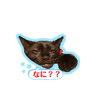チョビくんのいる毎日☆（個別スタンプ：10）
