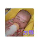 Ho-chanスタンプ（個別スタンプ：1）