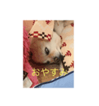 あとむあとむあとむ（個別スタンプ：1）