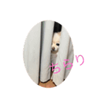 あとむあとむあとむ（個別スタンプ：3）