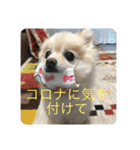 あとむあとむあとむ（個別スタンプ：5）