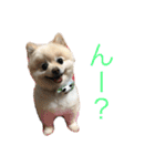 あとむあとむあとむ（個別スタンプ：7）