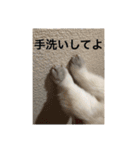 あとむあとむあとむ（個別スタンプ：9）