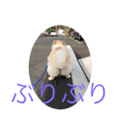 あとむあとむあとむ（個別スタンプ：16）