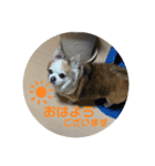 coco.mr（個別スタンプ：1）