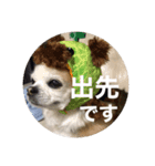 coco.mr（個別スタンプ：5）