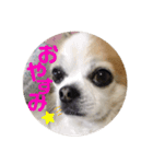 coco.mr（個別スタンプ：8）