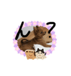 しぶちょぼ（個別スタンプ：8）