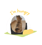 しぶちょぼ（個別スタンプ：10）