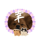 しぶちょぼ（個別スタンプ：15）