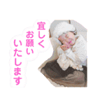 Hira姉妹②（個別スタンプ：13）