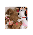 トイプーのココ（個別スタンプ：14）