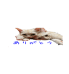 からあげくんとつくねくん（個別スタンプ：2）