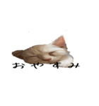 からあげくんとつくねくん（個別スタンプ：5）