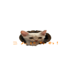 からあげくんとつくねくん（個別スタンプ：7）