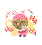 床屋さんの看板猫、人気猫ミー②（個別スタンプ：6）